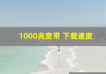 1000兆宽带 下载速度